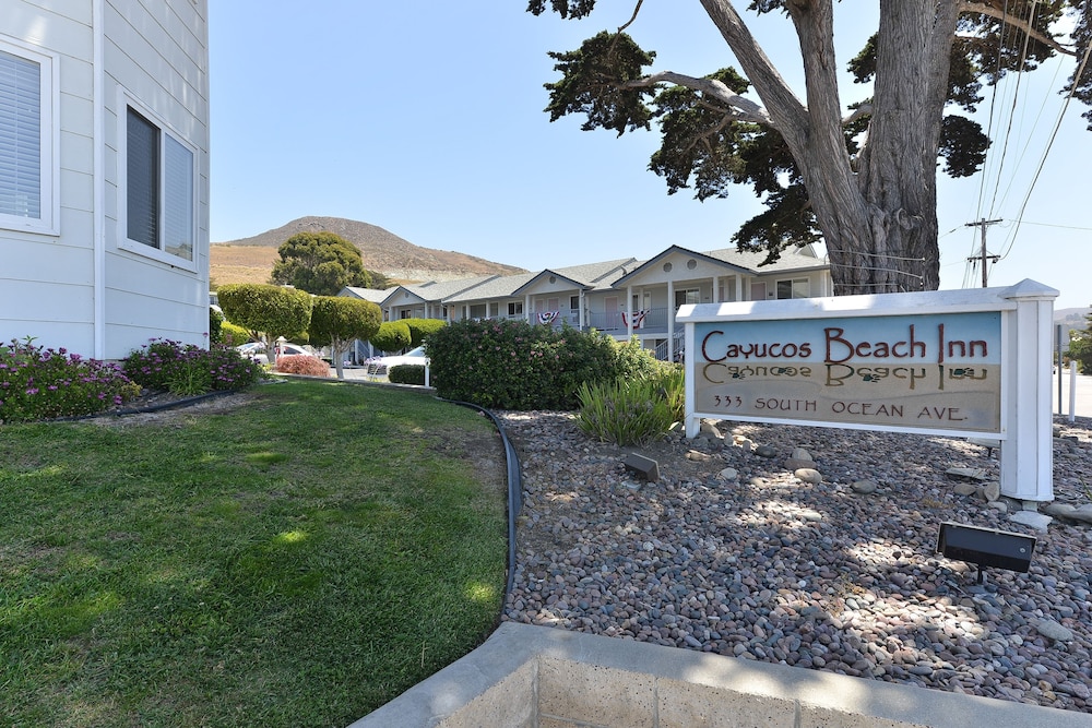 Cayucos Beach Inn - photo 38