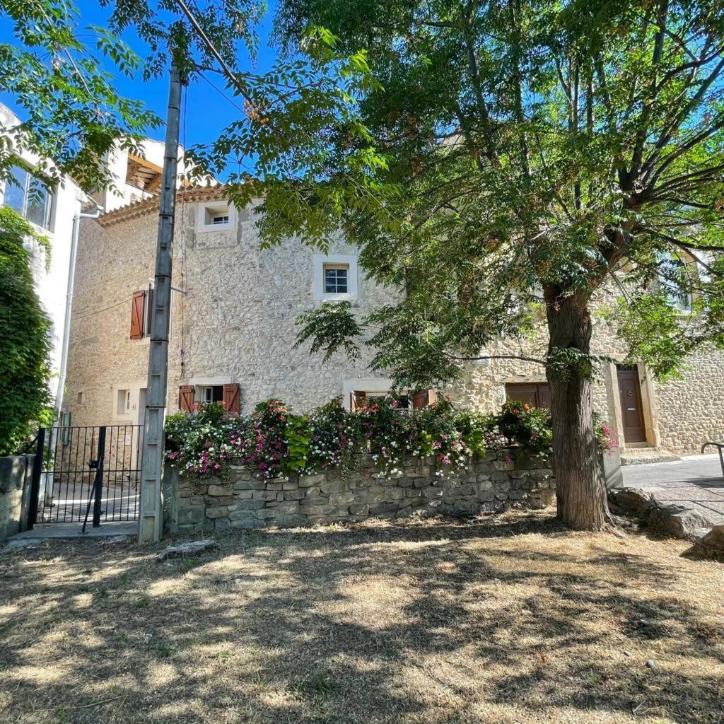La Belle Histoire — Bize-Minervois — photo 2