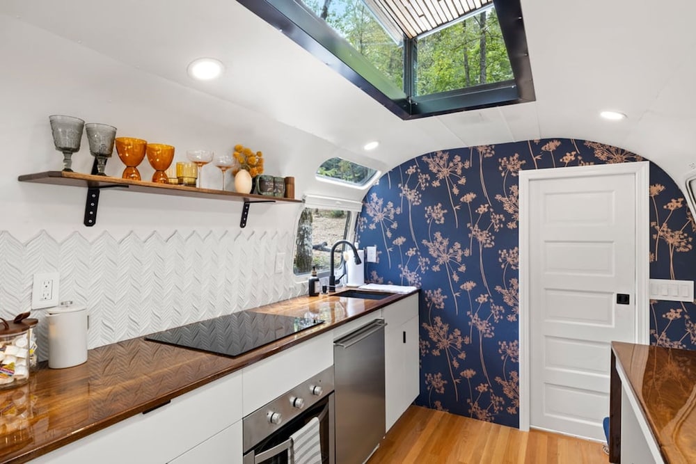 Silver Fern in Pisgah Forest in Brevard, United States