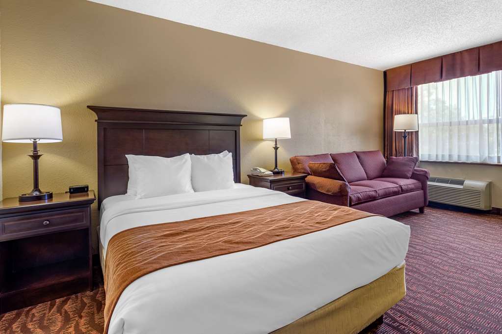 Comfort Inn at Thousand Hills - photo 27
