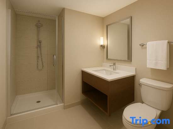 Hotel Urban Lion Igi Airport Delhi