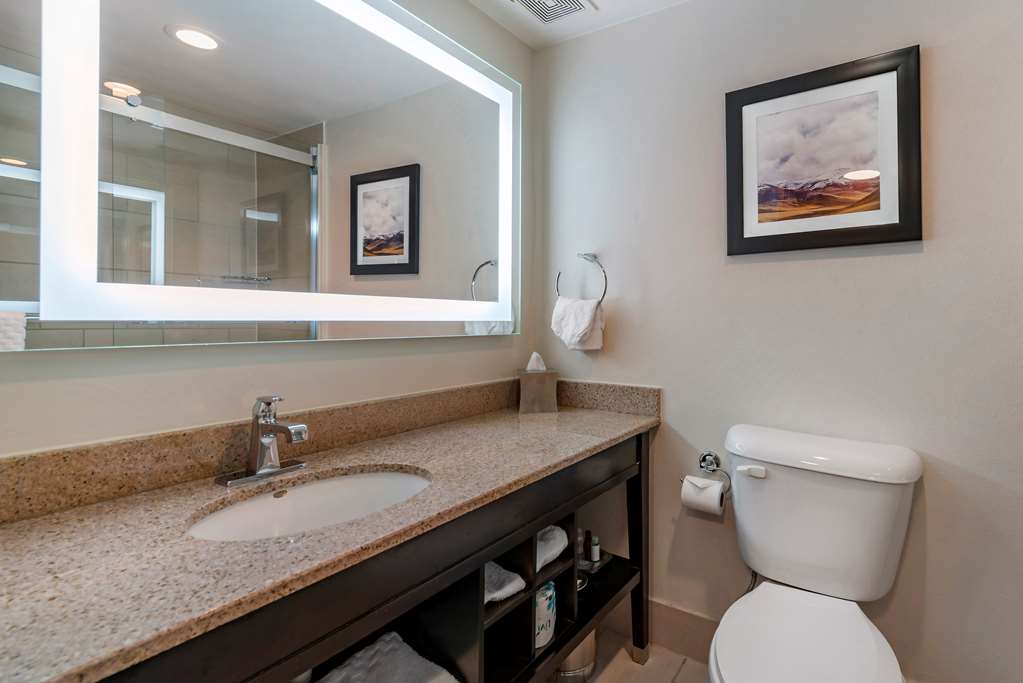 Best Western Premier Denver East - photo 9