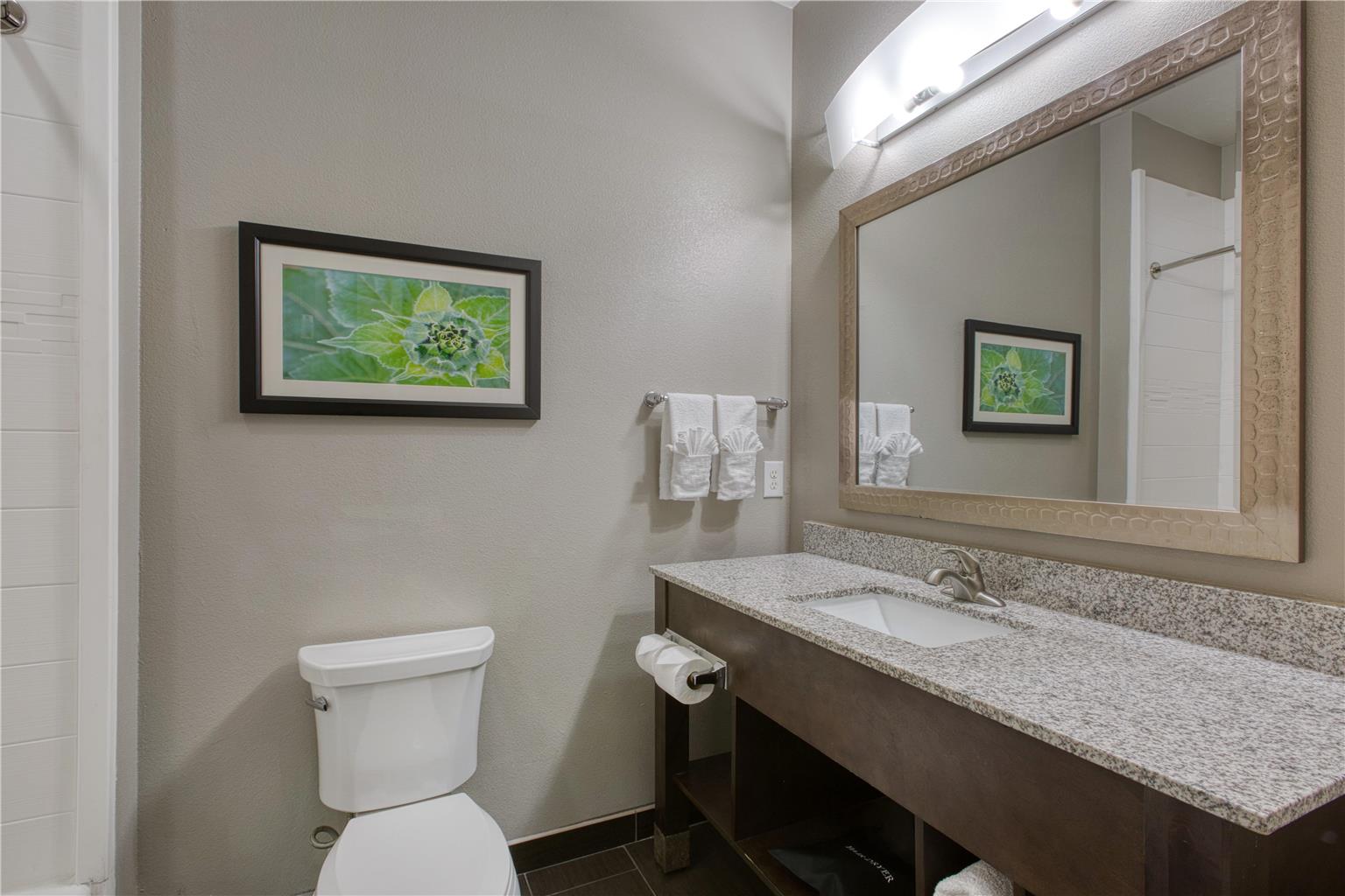 Best Western Plus Tech Medical Center Inn - photo 45