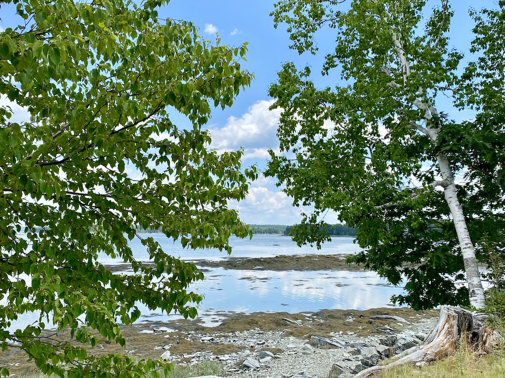 Island View Hotel Bar Harbor - photo 40