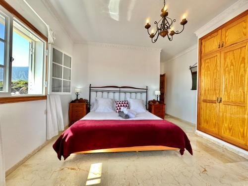 Villa Puntallana — Arafo — photo 5