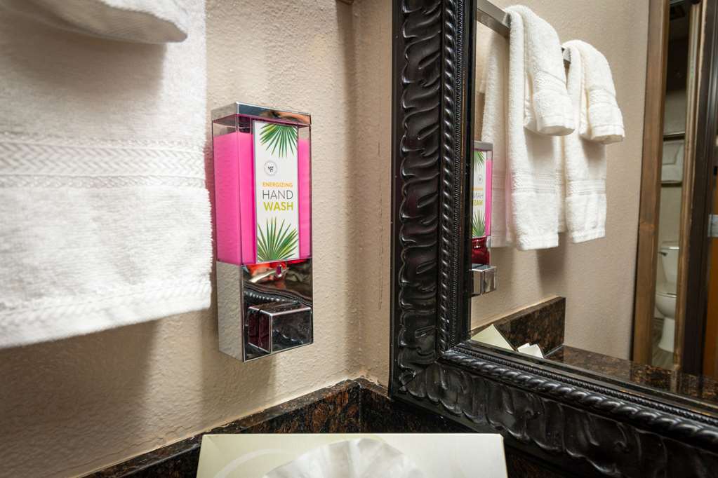 Quality Inn Bishop near Mammoth - photo 12