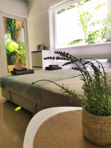 Viktoria's Garden Home — 4-Star Luxury Hotel in Palaio Faliro, Greece
