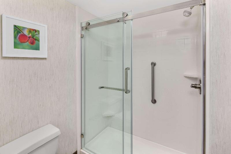 Hampton Inn Lagrange near Callaway Gardens - photo 97