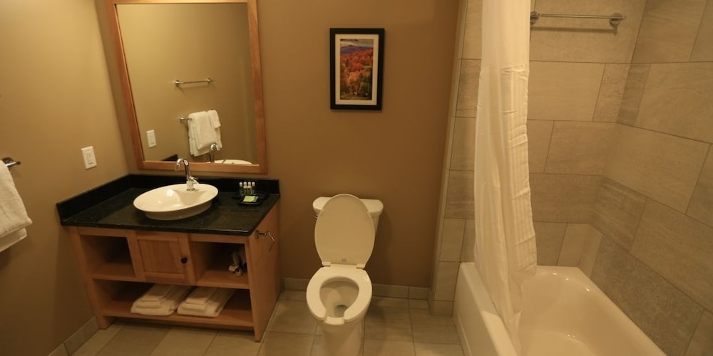 Burke Mountain Hotel - photo 20