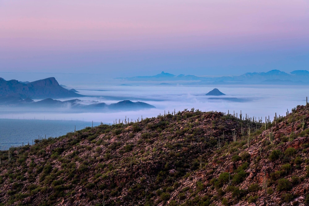 The Ritz Carlton Dove Mountain - photo 119