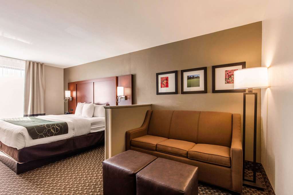 Comfort Suites Tuscaloosa near University - photo 9