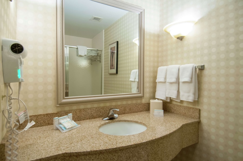 Hilton Garden Inn Jackson Pearl - photo 46