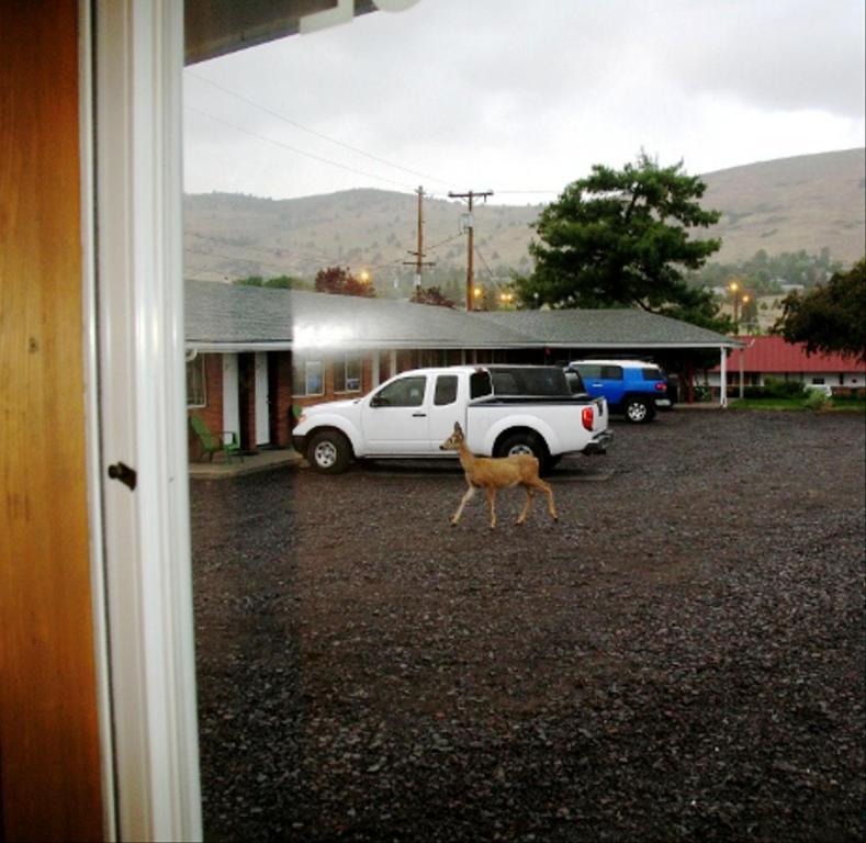 Golden West Motel - photo 16