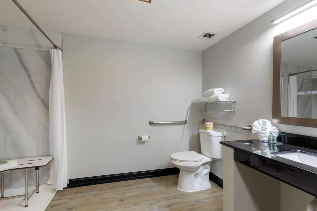 Best Western Corpus Christi Airport Hotel - photo 32