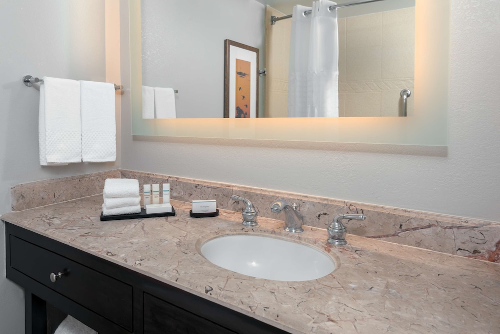 Embassy Suites by Hilton Dallas Park Central Area - photo 21