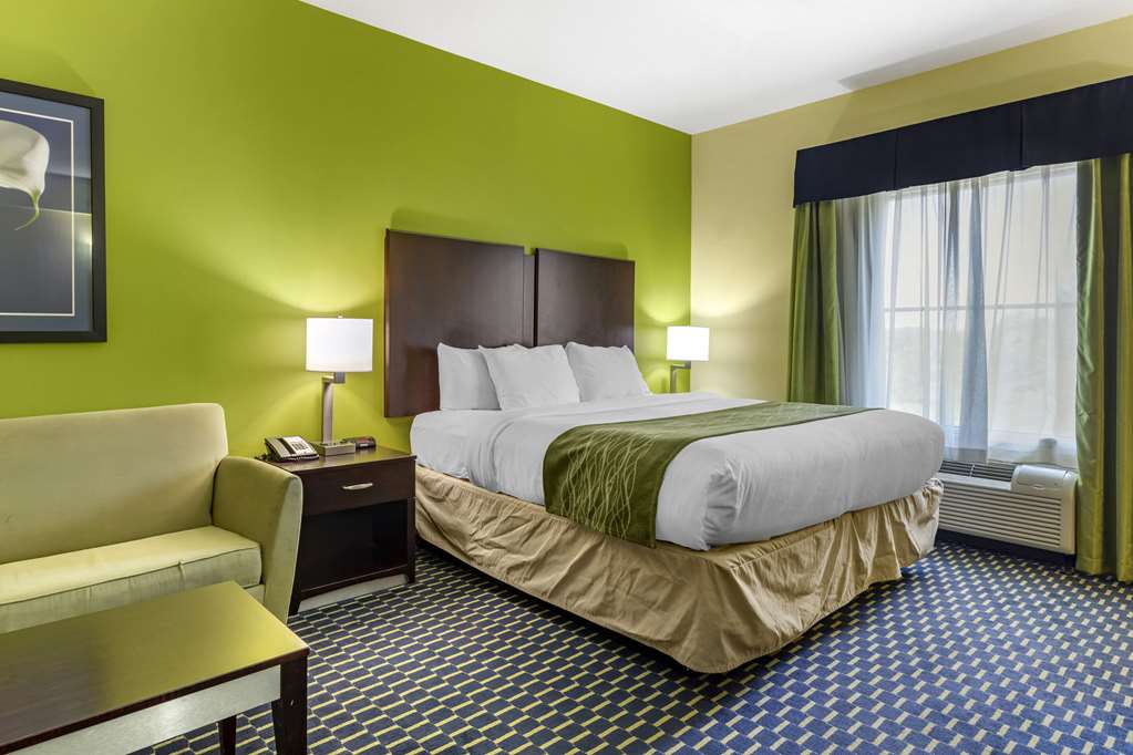 Comfort Inn Athens - photo 7