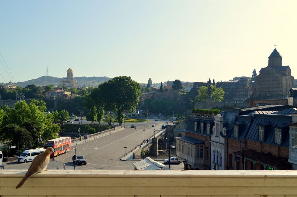 Deluxe apartment center of Tbilisi