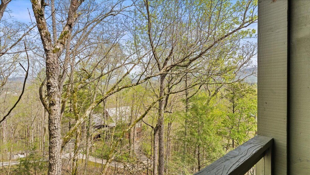 Laurel Valley Mountain Retreat - photo 153