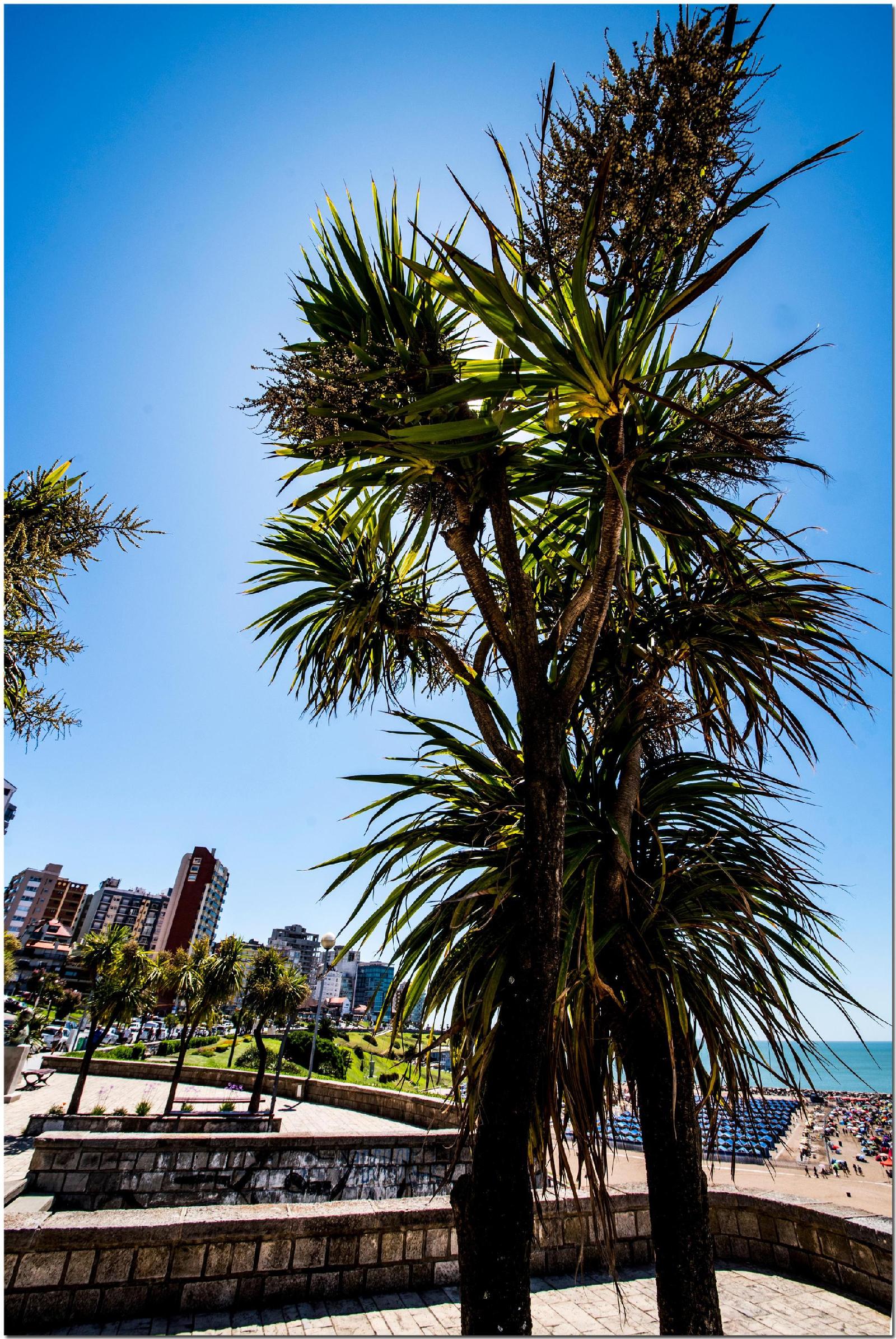 DeptosVip Rivas — 4-Star Luxury Hotel in Mar Del Plata, Argentina