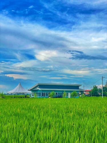 Rumah Teduh — Unknown City — photo 2