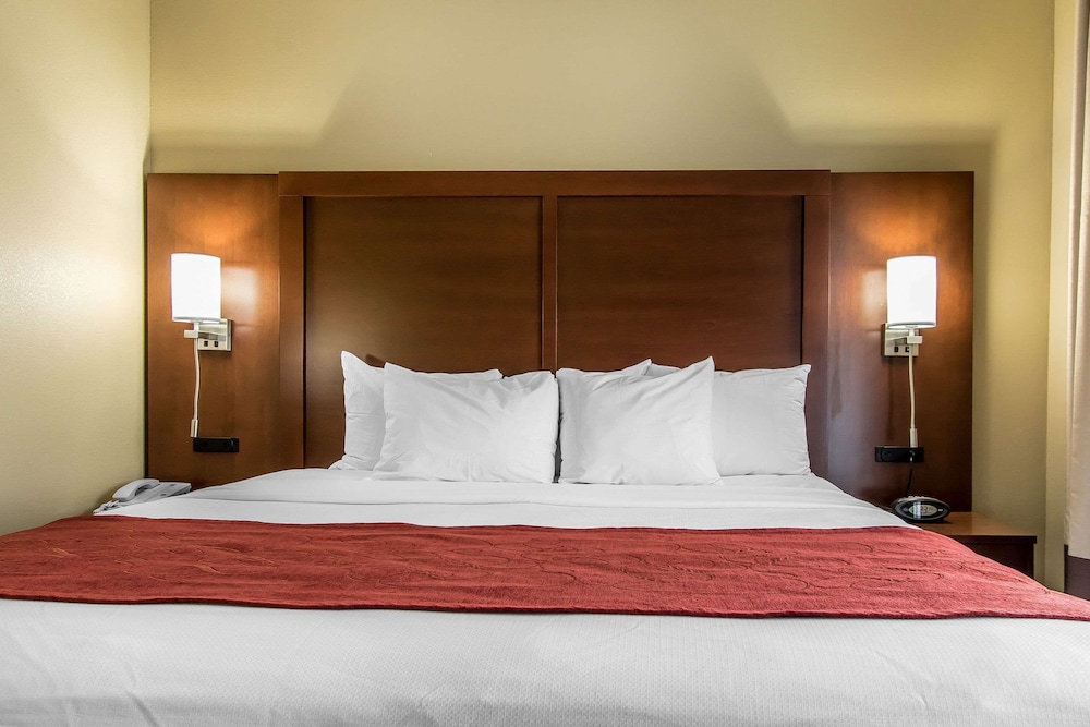 Comfort Suites Effingham Central - photo 23