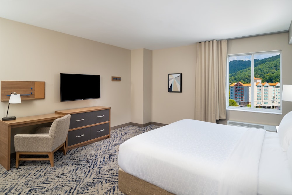 Candlewood Suites Asheville Downtown by IHG - photo 15