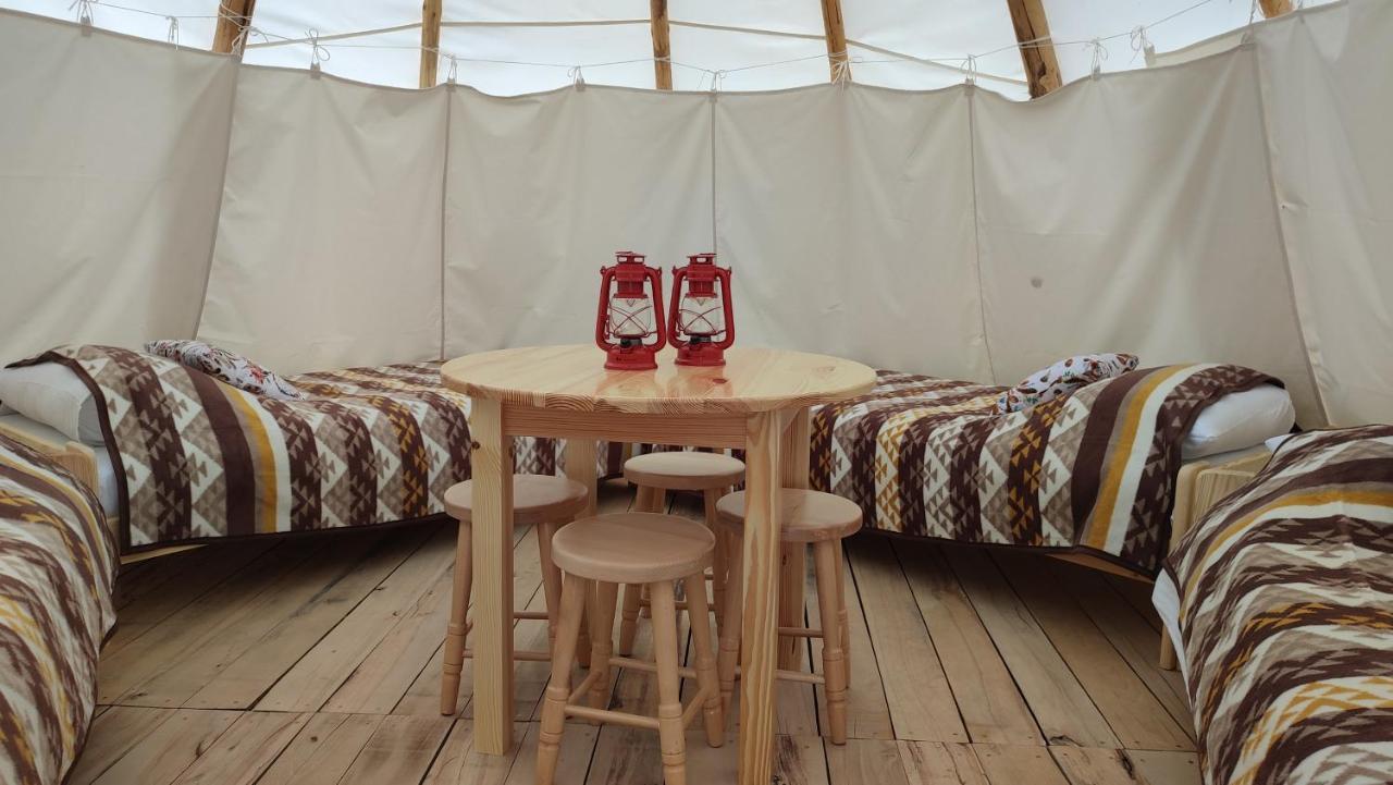 Glamping Wild Nature Bałtow - last minute hotel in Unknown City