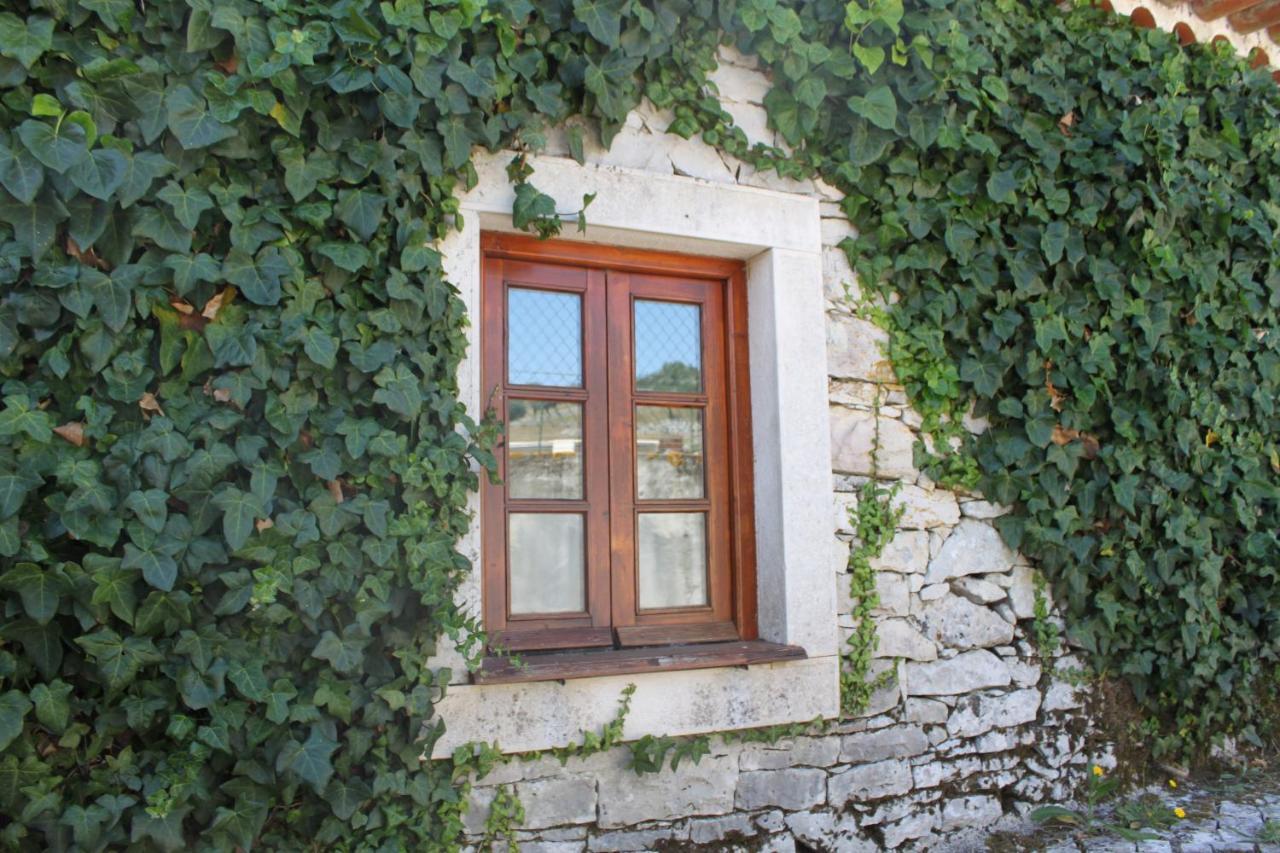 Chou Da Covinha in Porto De Mos, Portugal