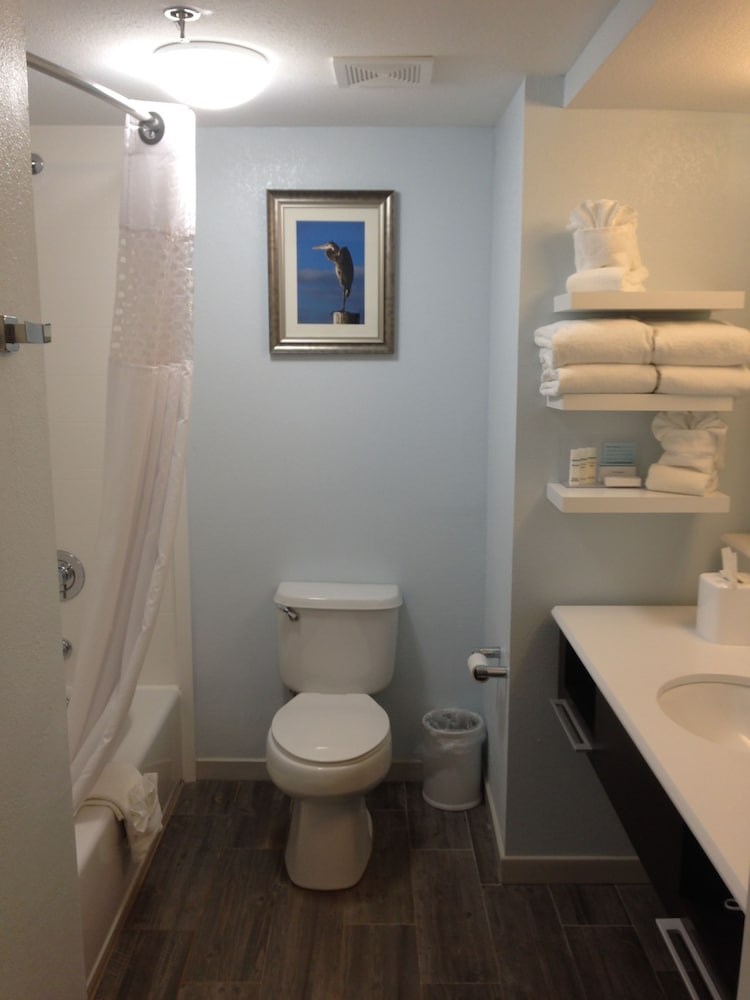 Hampton Inn Tampa Rocky Point Airport - photo 6