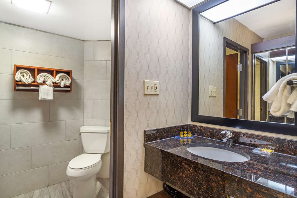 Best Western Plus Houston Energy Corridor - photo 18