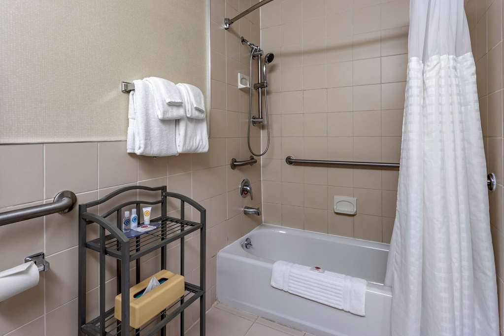 Comfort Inn Syosset Long Island - photo 12