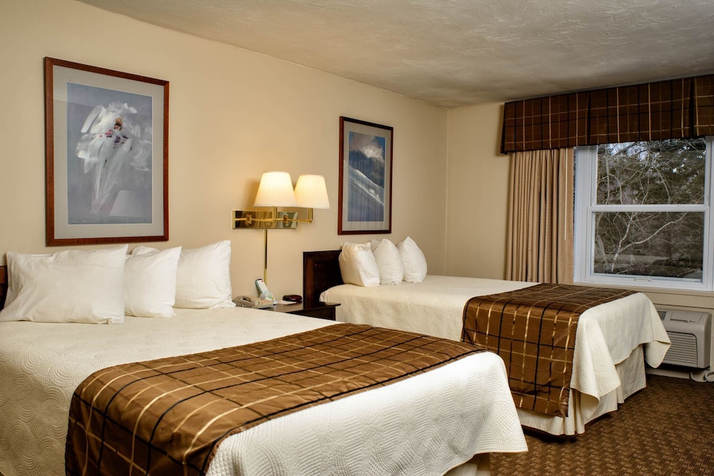 Silver Fox Inn - photo 7