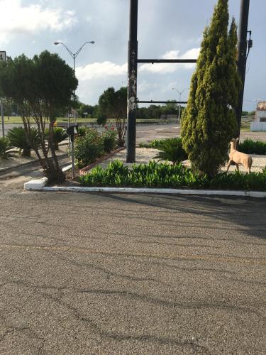 Alice Motor Inn - photo 7