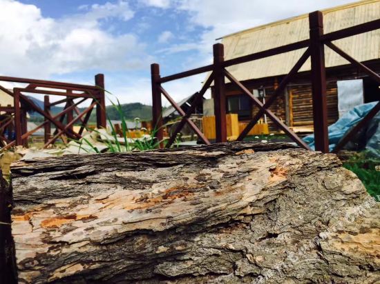 Three lives purified in Burqin, People's Republic of China