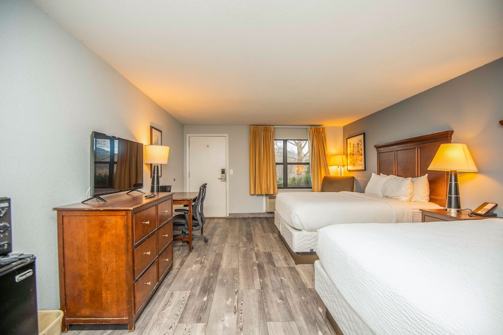 Tremont Lodge & Resort - photo 5