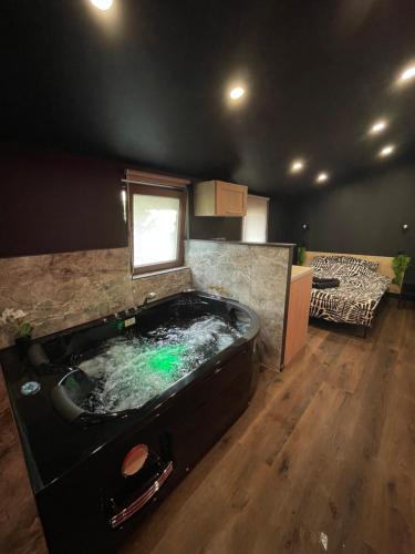 Jacuzzi Love Room — Mulhouse