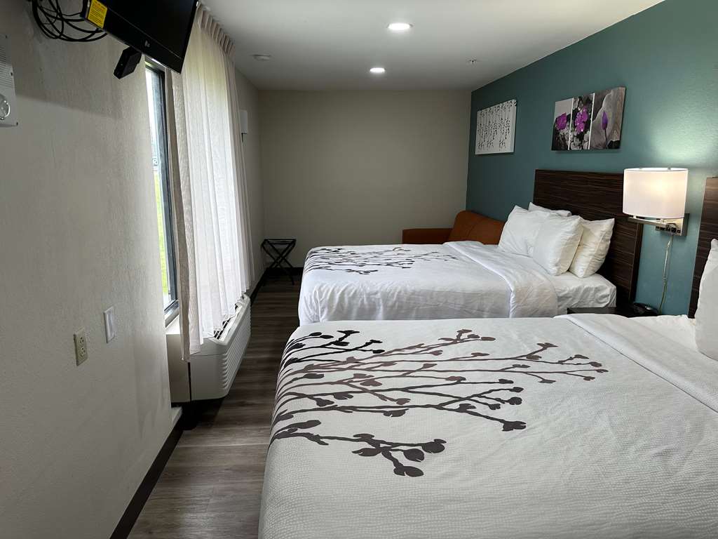 Sleep Inn & Suites Pineville Alexandria - photo 52