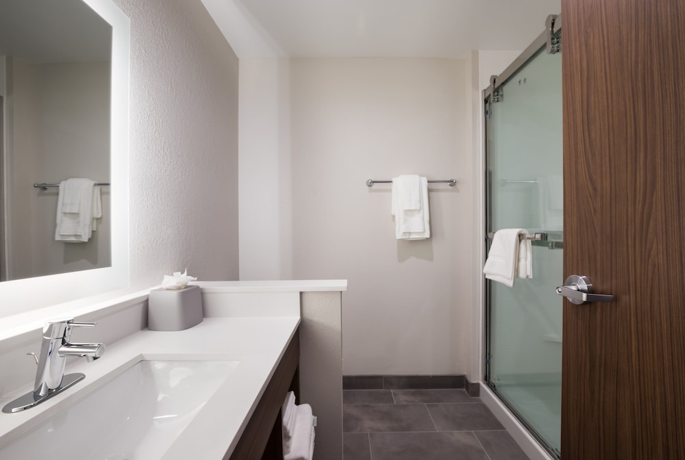 Holiday Inn Express & Suites Chicago Hoffman Estates by IHG - photo 17
