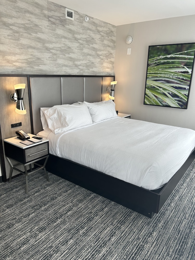Embassy Suites By Hilton Alpharetta Halcyon - photo 16