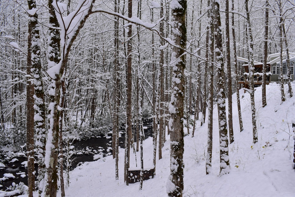 The Owl's Perch - photo 21