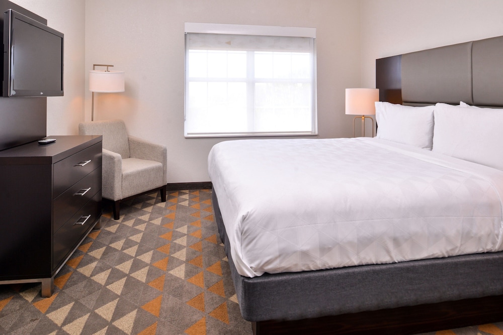 Holiday Inn & Suites Dallas Addison by IHG - photo 5