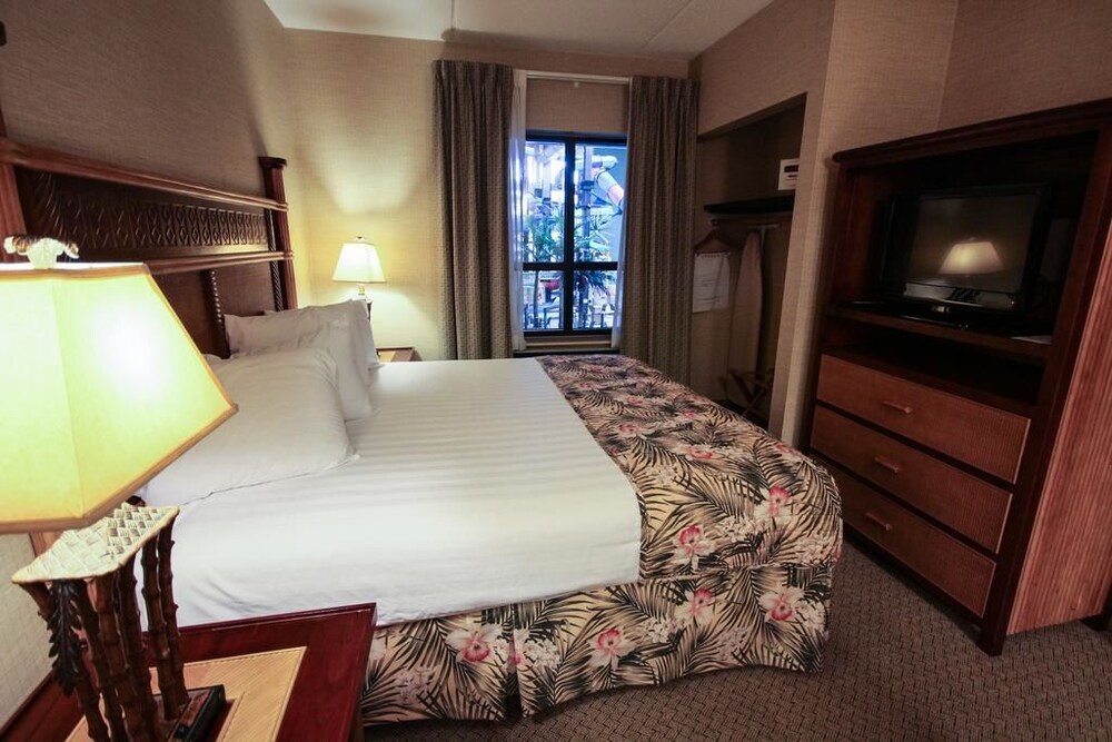 Maui Sands Resort & Indoor Waterpark - photo 21