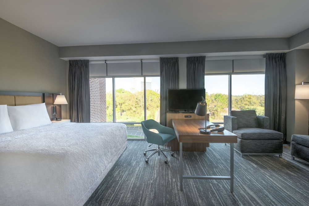 Hampton Inn & Suites Tallahassee Capitol University - photo 19