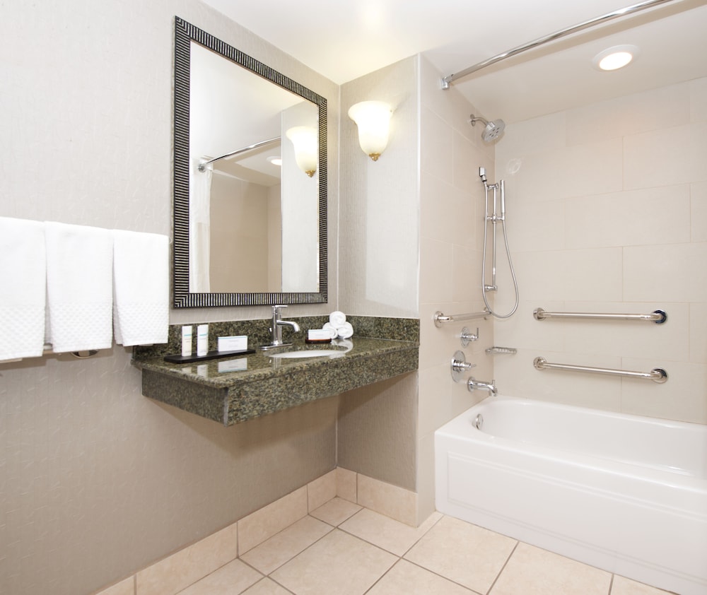 Embassy Suites by Hilton Detroit Livonia Novi - photo 19