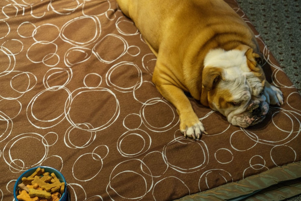 Staybridge Suites Brandywine an IHG Hotel - photo 4