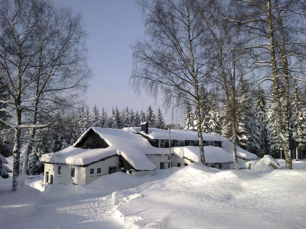 Montanie Resort — Desna
