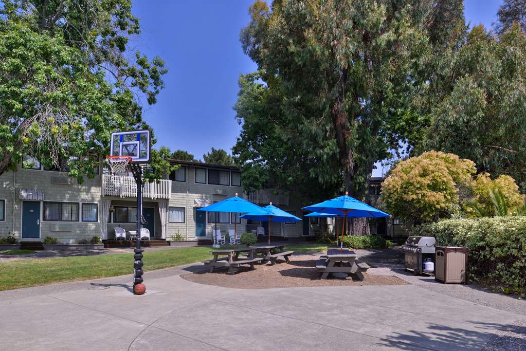 Best Western Corte Madera Inn - photo 4