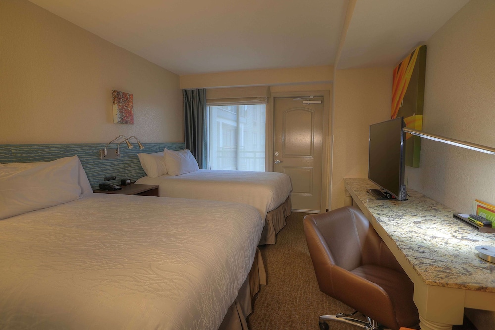 Hilton Garden Inn Pigeon Forge - photo 17