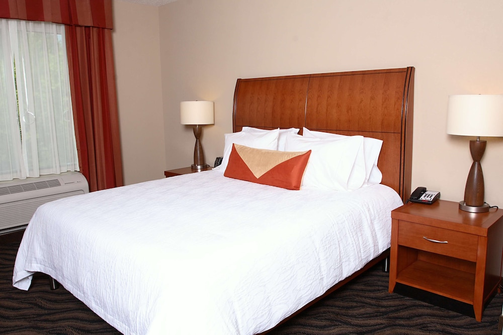 Hilton Garden Inn Chesapeake Suffolk - photo 13