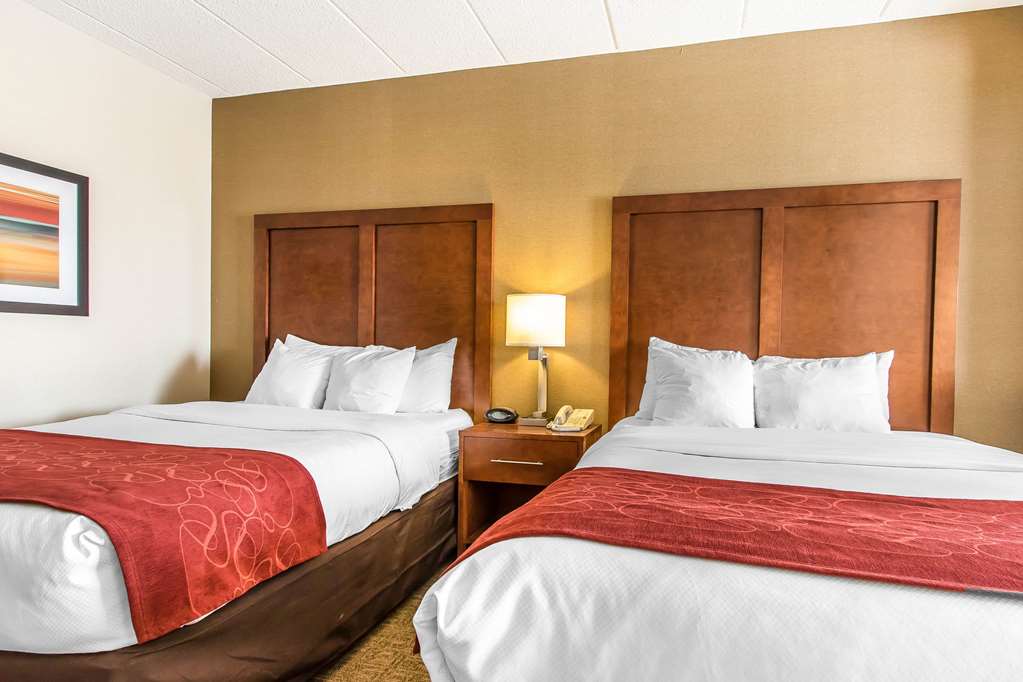 Comfort Suites Richmond - photo 15